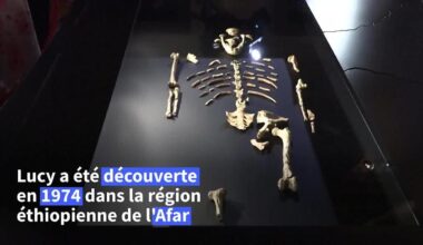 Premier voyage en Europe de l'australopithèque Lucy, exposée à Prague