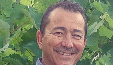 "La question sera de savoir quelles parcelles conserver ou arracher"