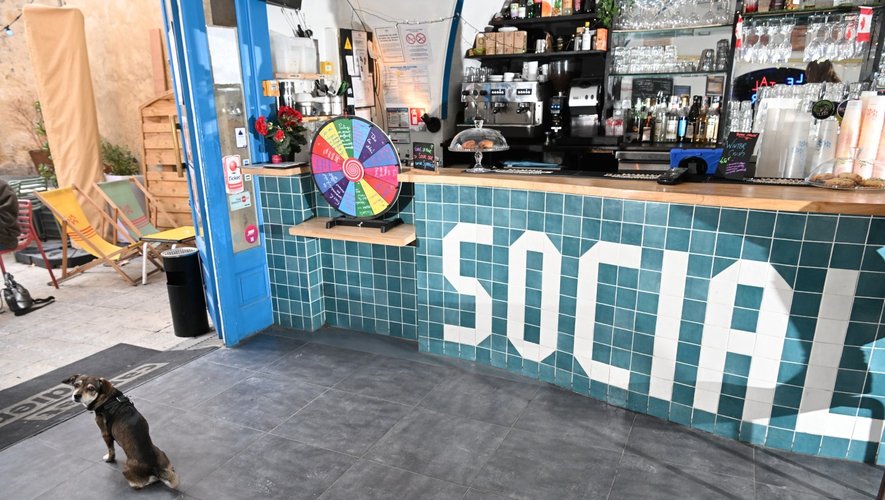 Sortir à Montpellier : dernière du Social Bar, fêtes, Comte de Monte Cristo… des idées pour ce jeudi 28 août