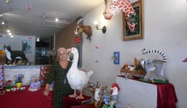 Condom. "Le petit coin d’Annick", un univers animalier en papier mâché