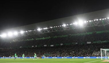 Une piste estivale des Verts file en Allemagne