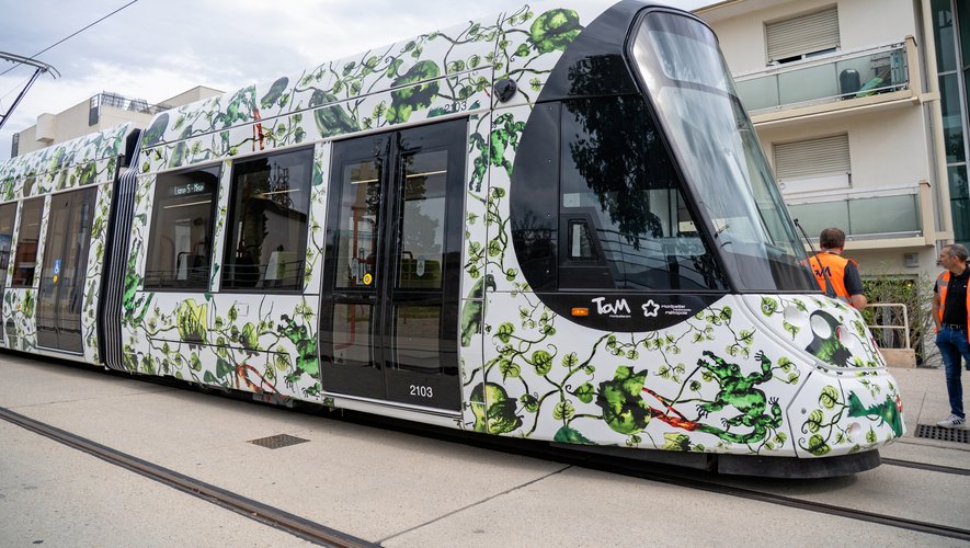 "Cette nouvelle ligne va considérablement soulager les voyageurs" : premiers essais techniques de la ligne 5 de tramway à Montpellier