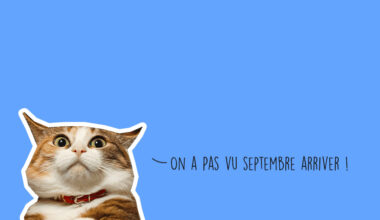 Agenda des sorties week-end à Lyon