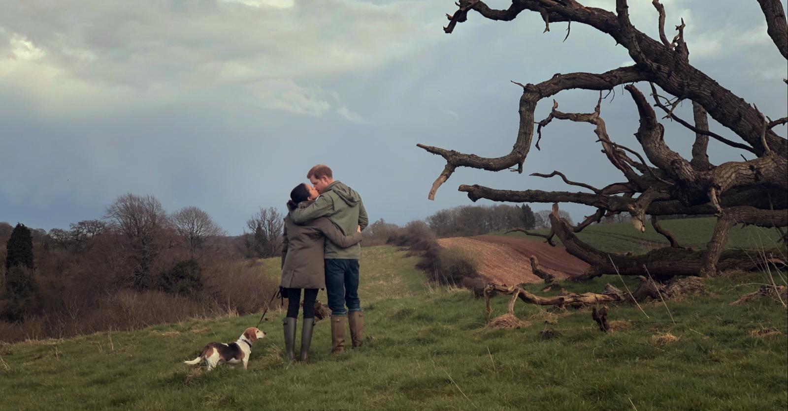 3 docu-séries pour les fans de la royauté britannique