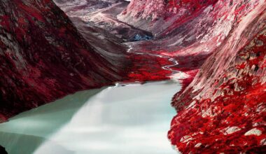 En images: le mois de la photo en Suisse