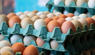 Des œufs ukrainiens dans les supermarchés français ? Antibiotiques interdits, élevage en cage… La profession dénonce un risque sanitaire