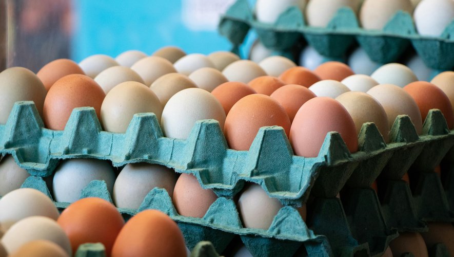 Des œufs ukrainiens dans les supermarchés français ? Antibiotiques interdits, élevage en cage… La profession dénonce un risque sanitaire