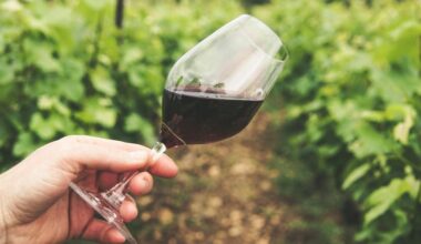 Ces 3 vins de Bordeaux à moins de 10 euros concurrencent les plus grandes marques
