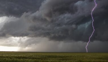 VIDÉO Arbres arrachés, déluge de grêle… les images des premiers orages qui s’abattent sur l’Occitanie