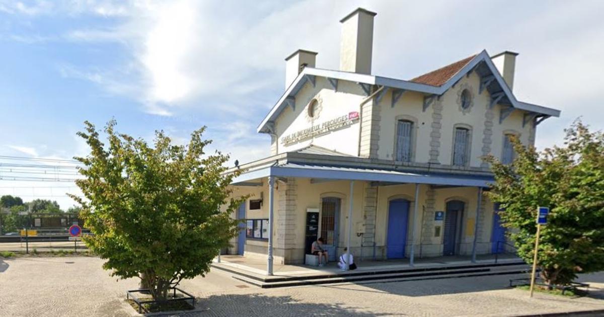 deux jeunes hommes percutés par un train en gare dans des circonstances mystérieuses