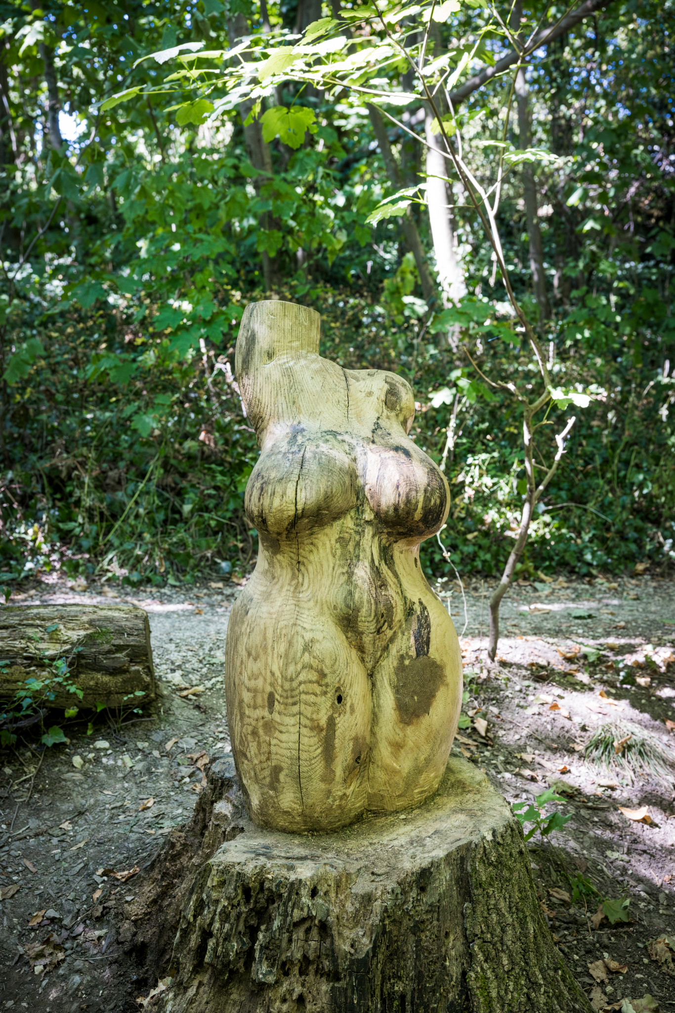 Sculpture en bois représentant une forme corporelle, exposée dans la campagne Masset à Saint-Jean, Genève, entourée de végétation.