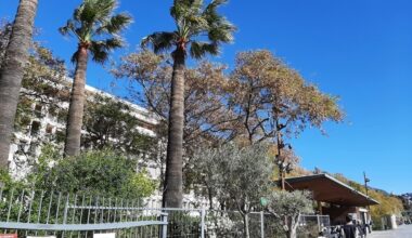 parcs et jardins publics fermés