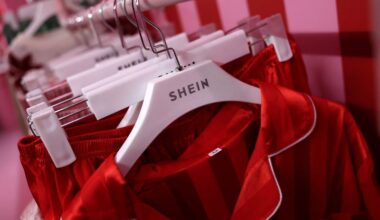 Shein : une croissance de 32% du chiffre d'affaires au Royaume-Uni en 2024