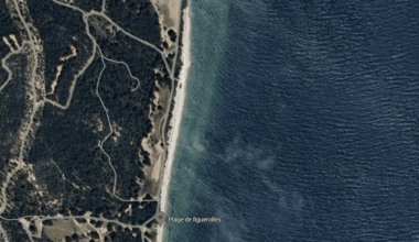plusieurs plages interdites à la baignade près de Marseille en raison de la présence d’algues
