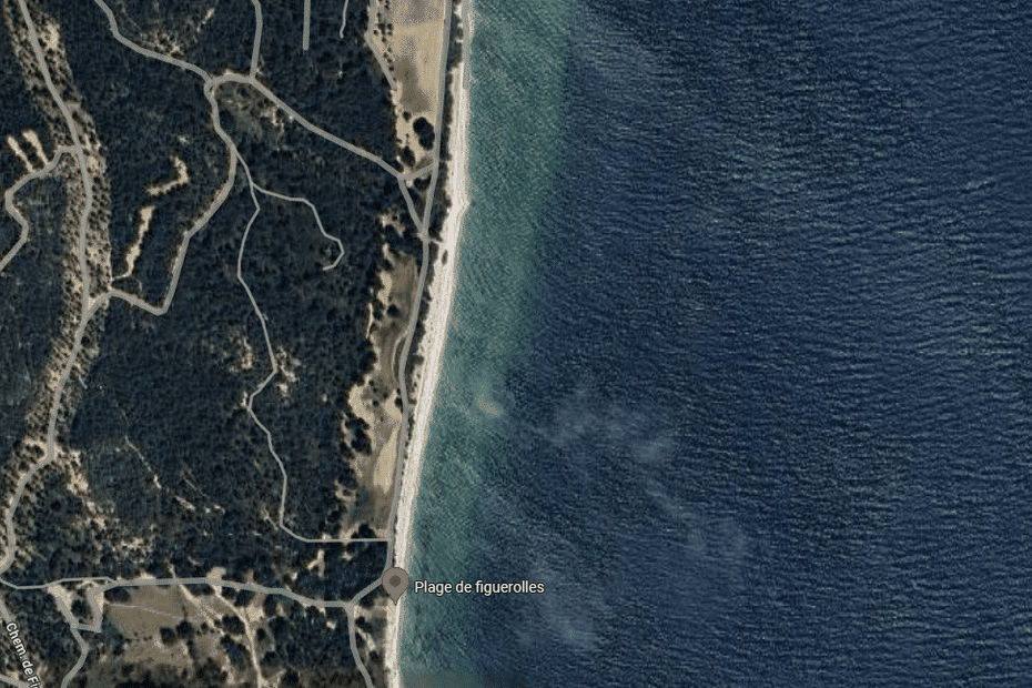 plusieurs plages interdites à la baignade près de Marseille en raison de la présence d’algues