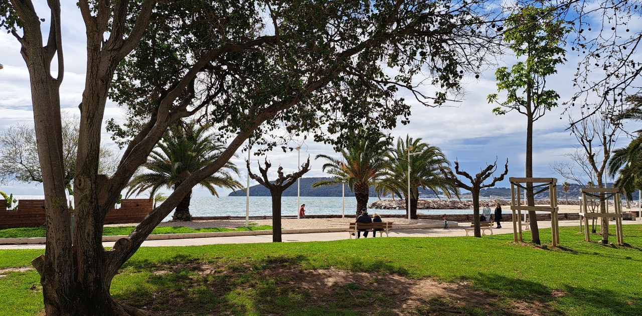 Toulon : pique-niques, chiens, du nouveau sur les plages du Mourillon