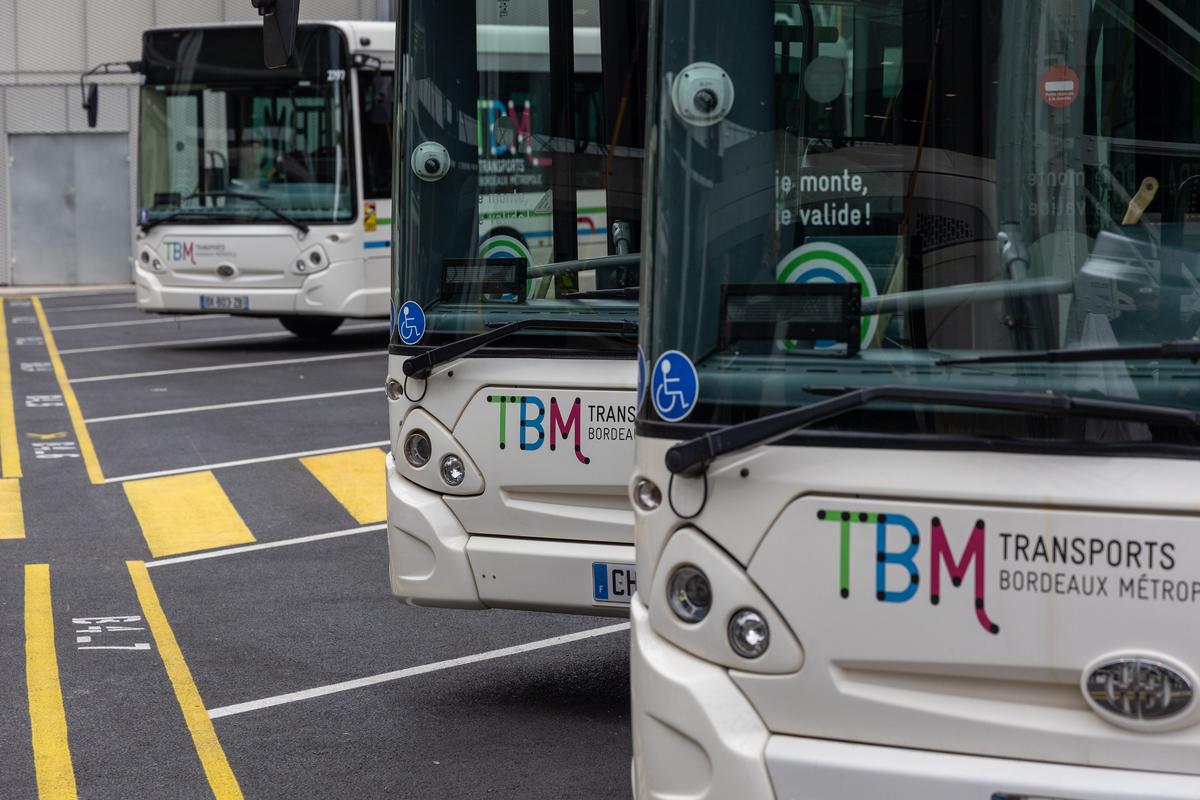 quand la canicule surchauffe la flotte de TBM