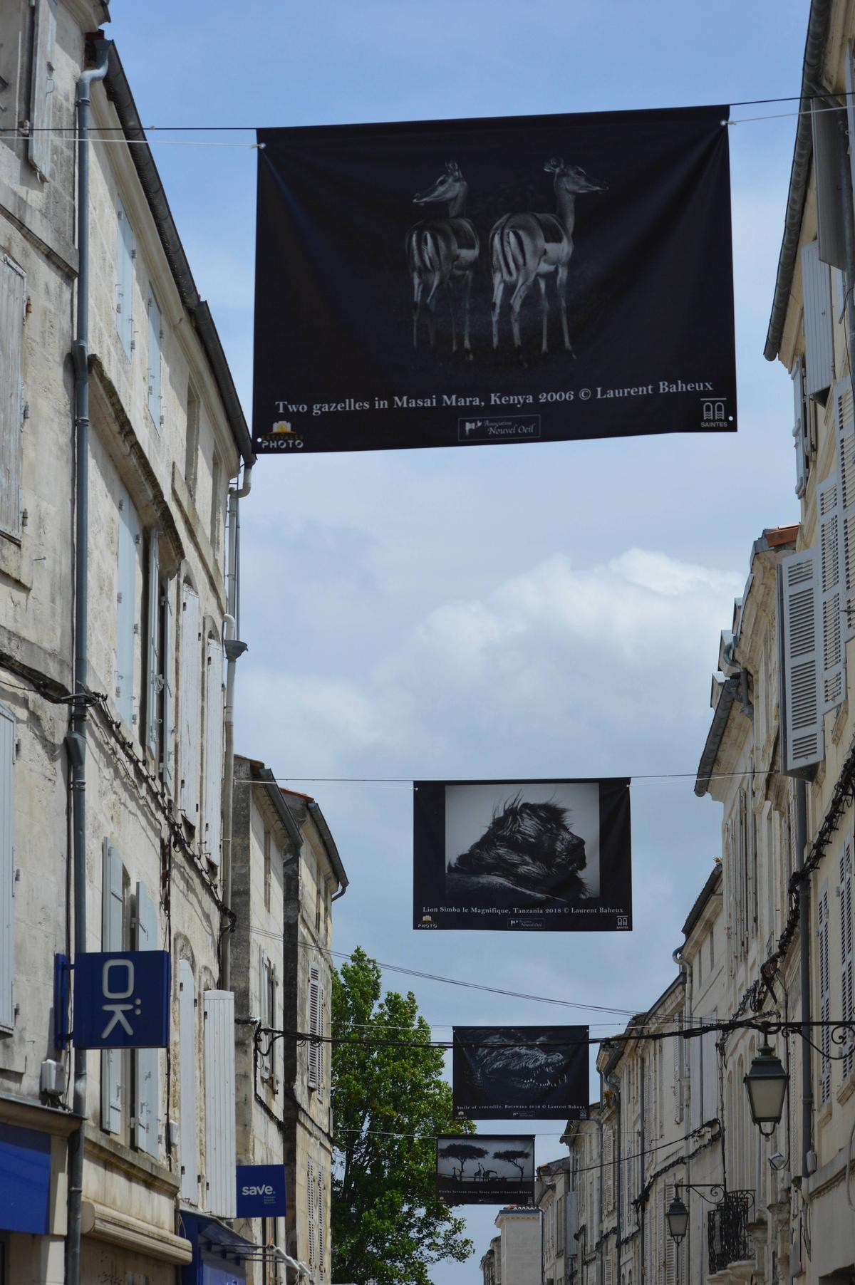 Les images de Laurent Baheux surplombent la rue Victor-Hugo et la rue Alsace-Lorraine depuis mi-juin.