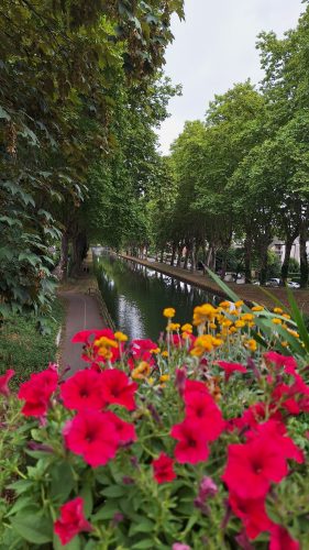 canal du Rhône au Rhin