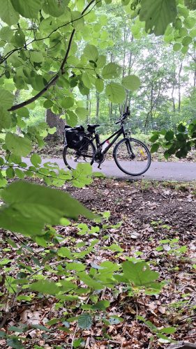 canal du Rhône au Rhin vélo