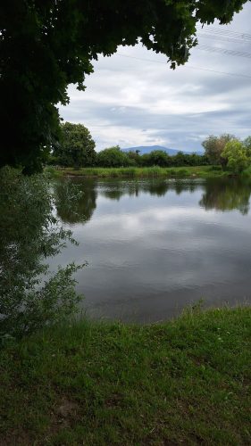 canal du Rhône au Rhin