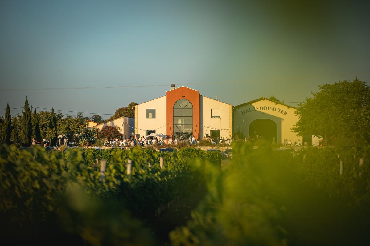 En 2024, le domaine a arraché 10 hectares de vignes.