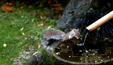 (Multimédia) Royaume-Uni : l'Angleterre confrontée à une pénurie d'eau "d'importance nationale" - Xinhua