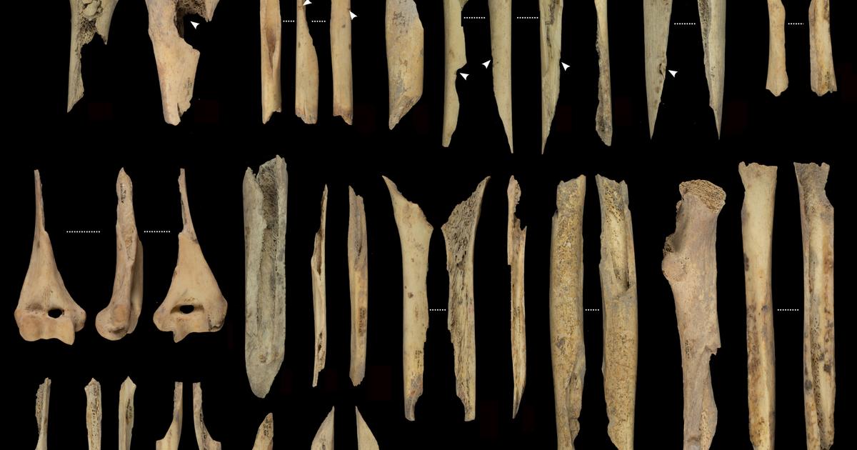 Un banquet cannibale datant de 6 000 ans découvert dans la grotte d’El Mirador, au nord de l’Espagne