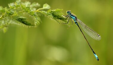 six balades gratuites à la découverte de la nature dans la métropole de Lille