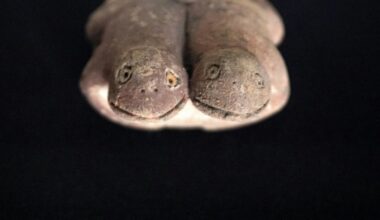 Pérou : découverte d'une rare sculpture de grenouilles vieille de 3.800 ans : Actualités