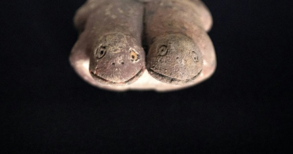 Pérou : découverte d'une rare sculpture de grenouilles vieille de 3.800 ans : Actualités