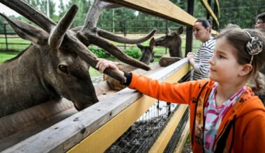 En Russie, la lutte désespérée des écologistes pour sauver un parc national : Actualités