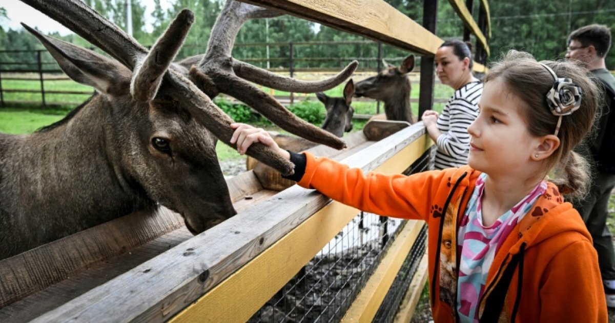 En Russie, la lutte désespérée des écologistes pour sauver un parc national : Actualités