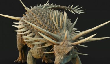 Un "étrange" dinosaure, recouvert d'une armure avec des pointes, découvert au Maroc : Actualités