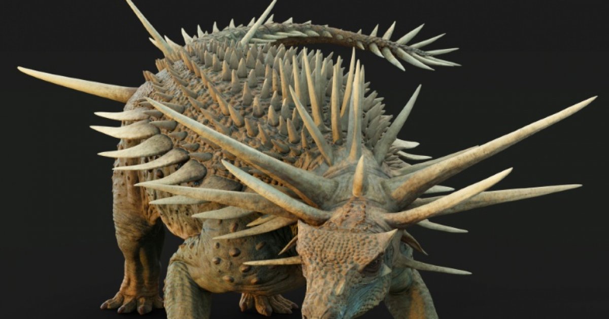 Un "étrange" dinosaure, recouvert d'une armure avec des pointes, découvert au Maroc : Actualités