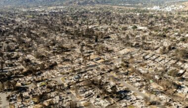 Catastrophes naturelles: les incendies de Los Angeles font gonfler les pertes économiques : Actualités