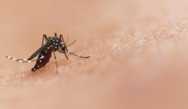 Virus du Nil occidental en Île-de-France : craignez-vous une épidémie ? : Actualités