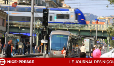 ligne 1 renforcée, nouveautés, fraude et sécurité... Le président de Lignes d'Azur Gaël Nofri répond à vos questions les plus fréquentes