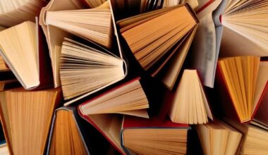 Le livre de Kells : Sorj, avant Chalandon