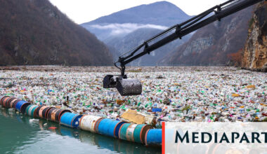 « Avec le plastique, nous avons contracté une dette de toxicité mondiale »
