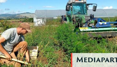 Près de Lyon, une commune se dote d’une ferme municipale et cultive son autonomie alimentaire