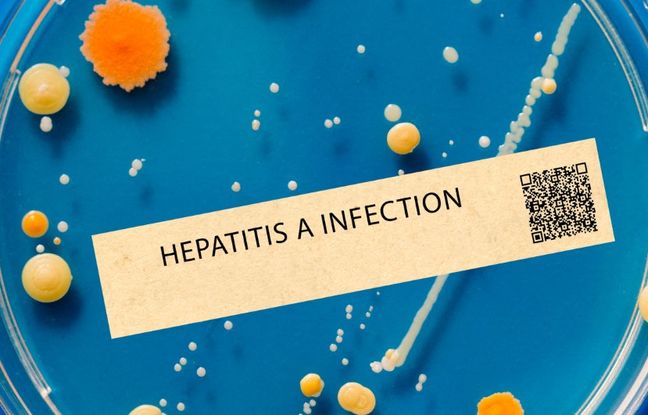 Tout savoir sur l’explosion de cas d’hépatite A