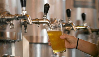 La France, premier importateur de bière en Europe