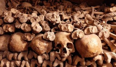 les catacombes de Paris vont bientôt fermer pour travaux