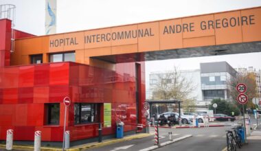 comment une internaute a fait éclater l’affaire – Libération