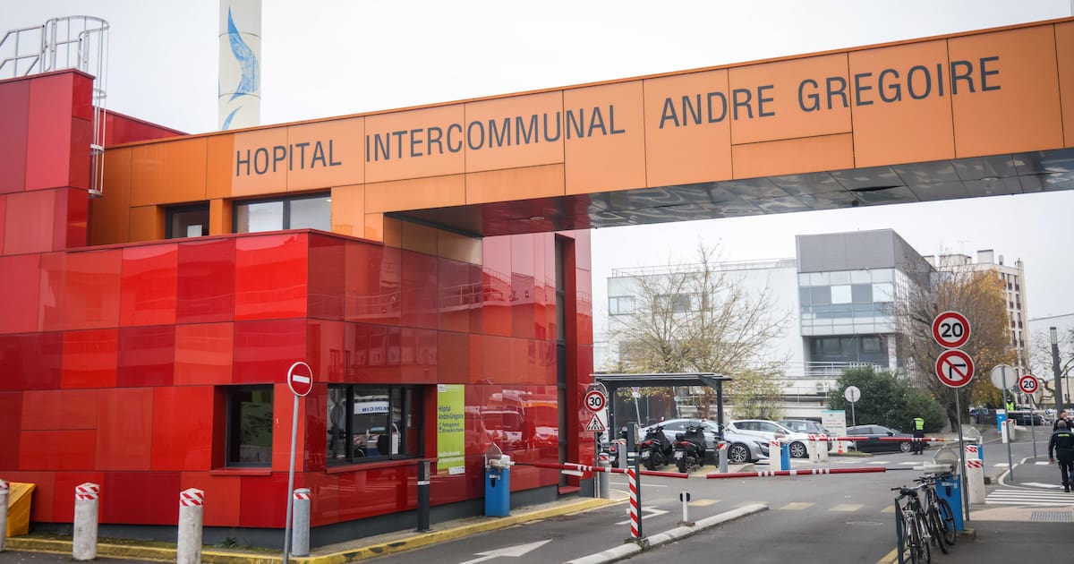comment une internaute a fait éclater l’affaire – Libération