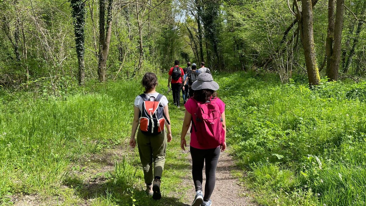 La randonnée cartonne chez les jeunes grâce aux réseaux sociaux : « L’Île-de-France, c’est devenu tendance ! »