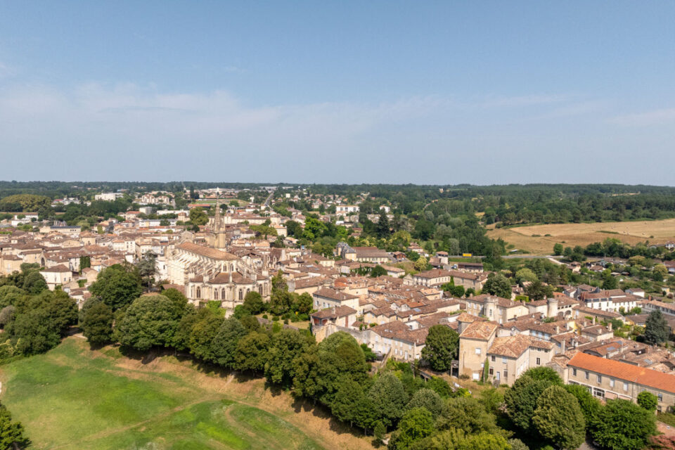 bazas vu du ciel