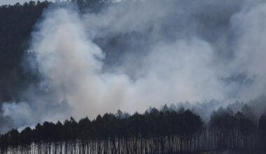 avec plus d’un million d’hectares brûlés dans l’UE, le record datant de 2017 est battu