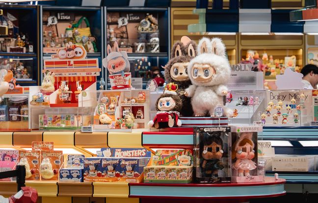 Des poupées Labubu volées dans un magasin lors d’un cambriolage, un préjudice estimé à 25.000 dollars